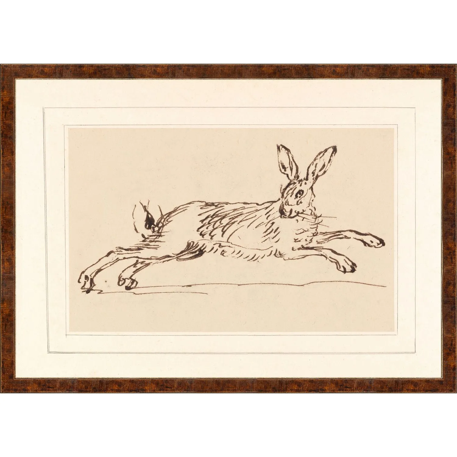 Cottontail Wall Art