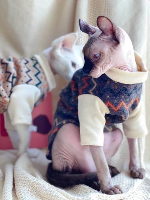 Ethnic Hairless Cat Sweater