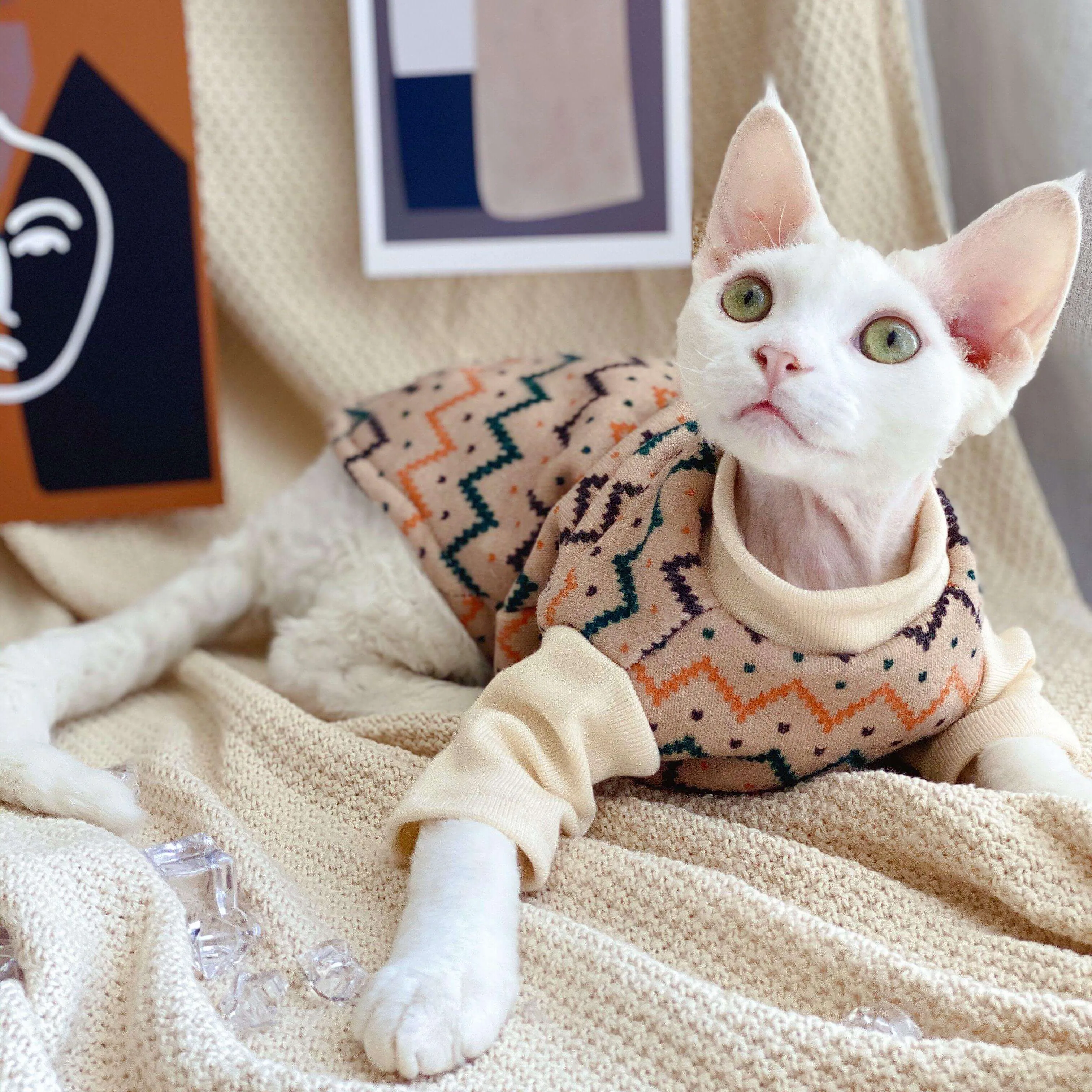 Ethnic Hairless Cat Sweater