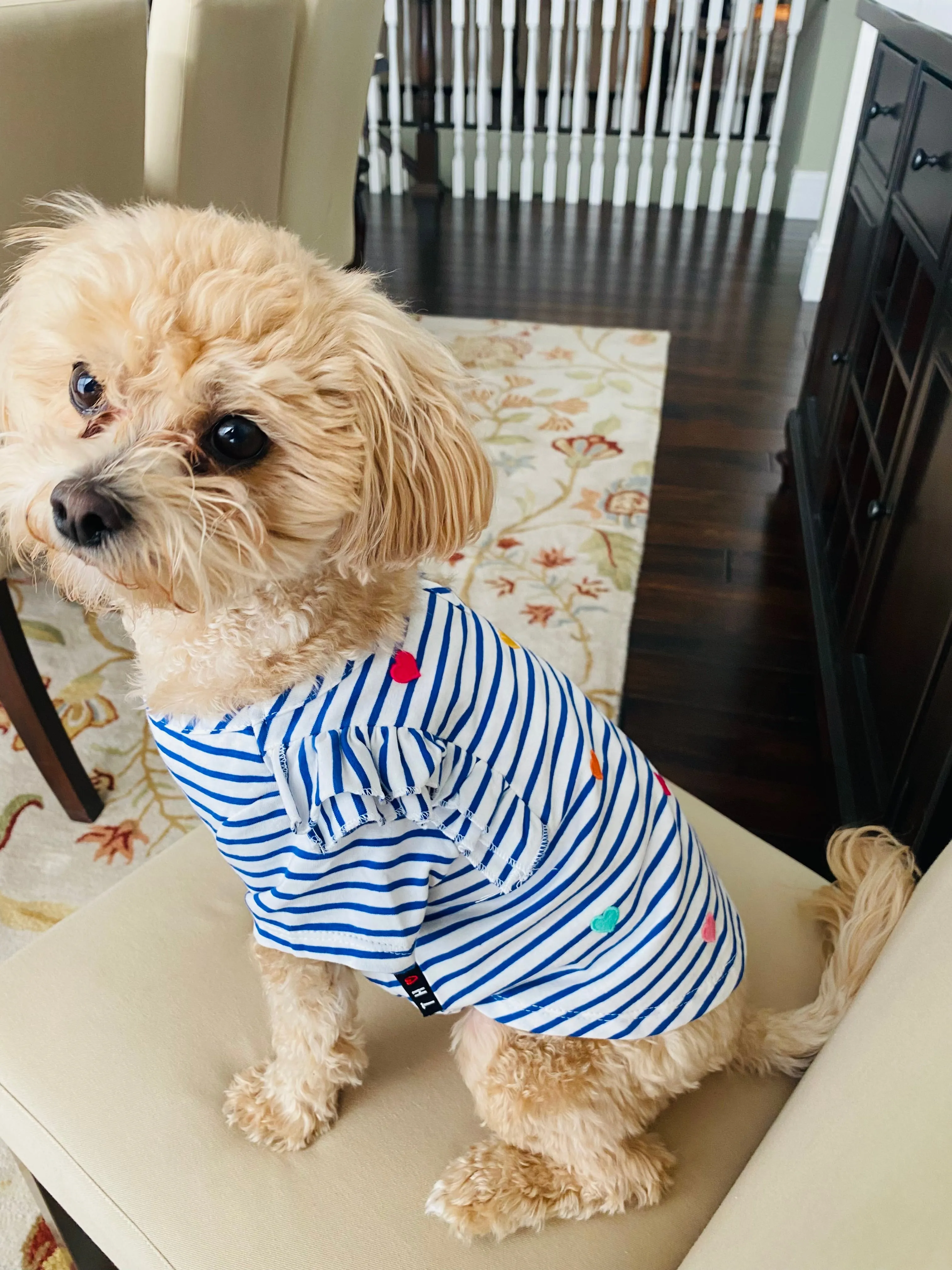 Summery Heart Ruffle Pup Tee